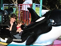 SeaWorld (7)
